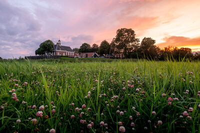 Uitzicht op Museumkerk Schokland vanaf het veld in augustus