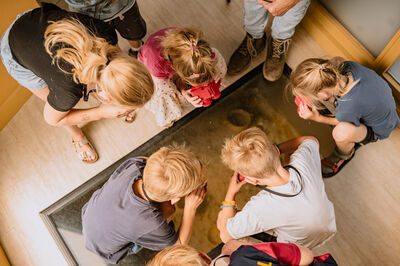 Ontdekkende kinderen in de vaste tentoonstelling van Museum Schokland